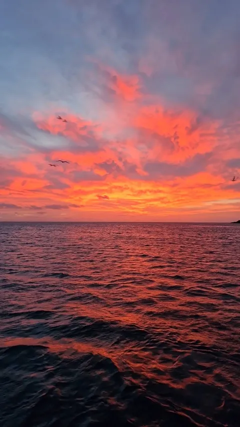 Browns Bay Fishing Club member photo