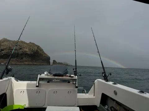 Browns Bay Fishing Club member photo