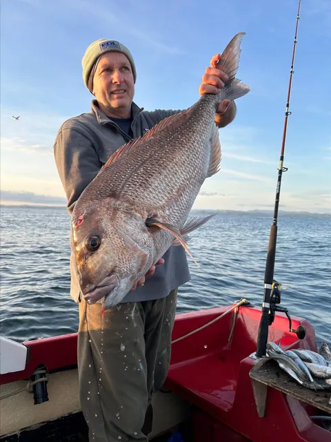 Browns Bay Fishing Club member photo