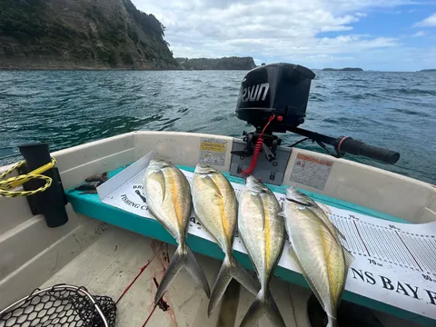 Browns Bay Fishing Club member photo