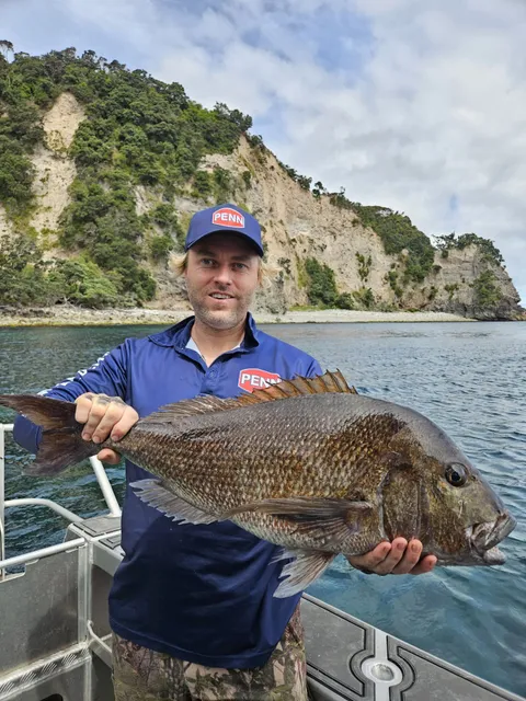 Browns Bay Fishing Club member photo