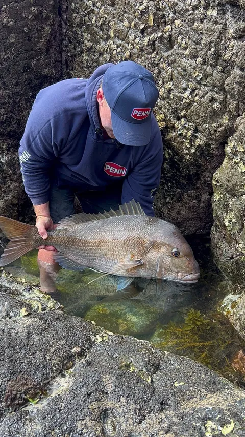 Browns Bay Fishing Club member photo