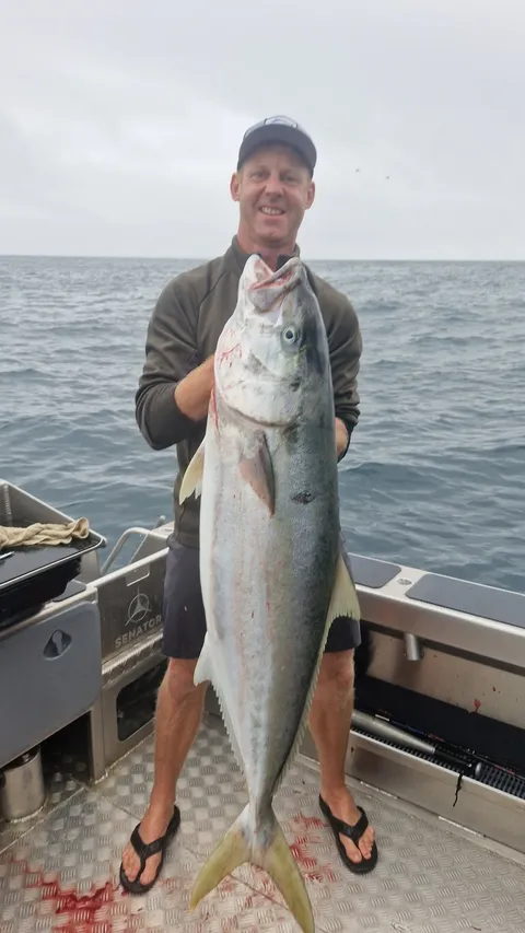 Browns Bay Fishing Club member photo