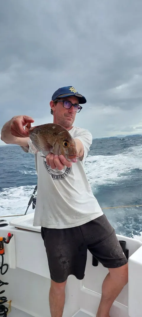 Browns Bay Fishing Club member photo