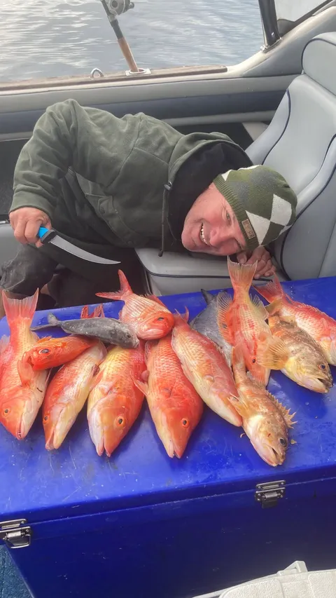 Browns Bay Fishing Club member photo