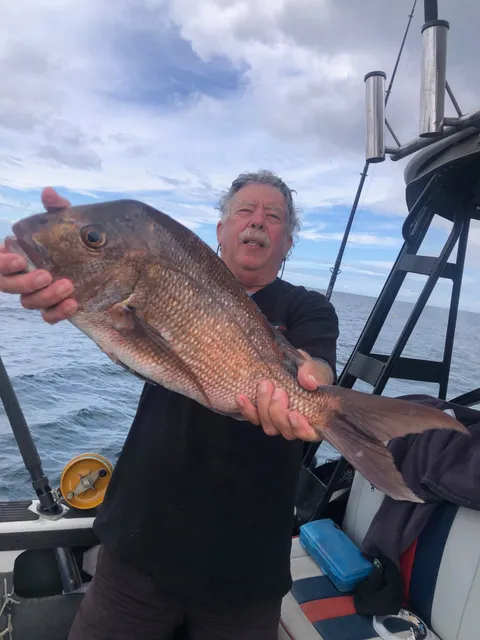Browns Bay Fishing Club member photo
