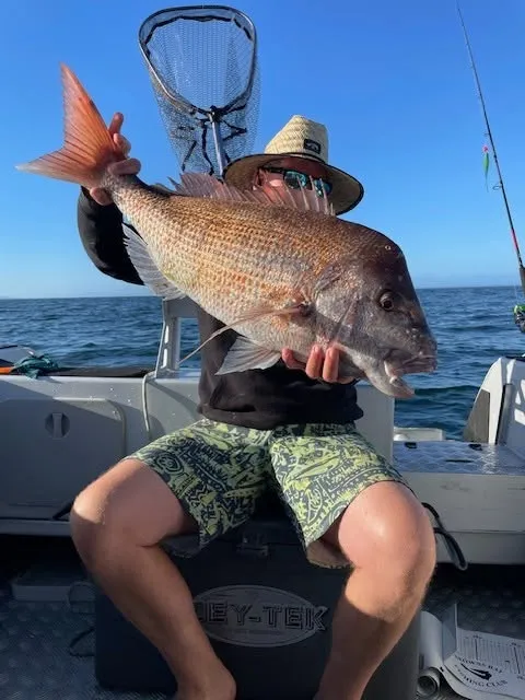 Browns Bay Fishing Club member photo