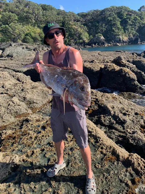 Browns Bay Fishing Club member photo