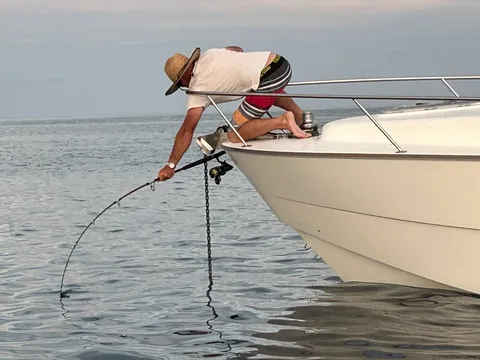 Browns Bay Fishing Club member photo