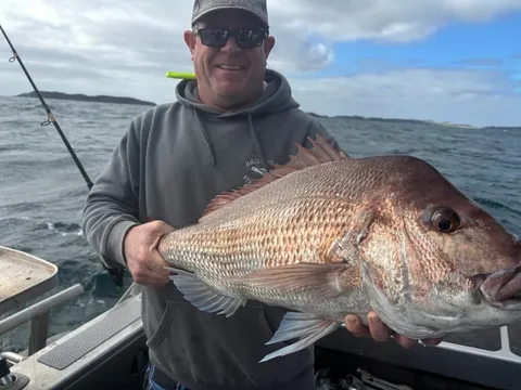 Browns Bay Fishing Club member photo
