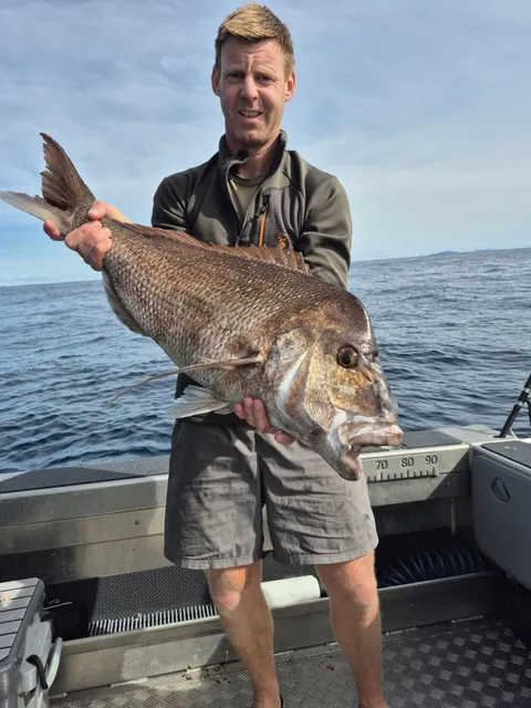 Browns Bay Fishing Club member photo