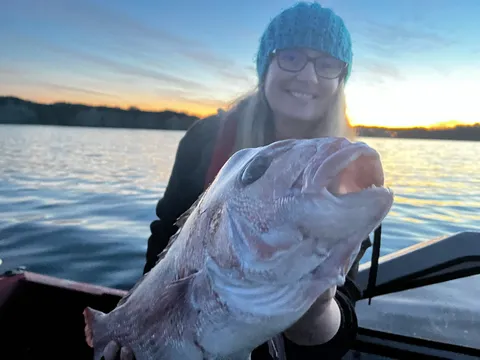 Browns Bay Fishing Club member photo