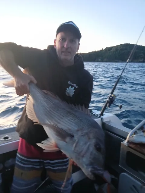 Browns Bay Fishing Club member photo