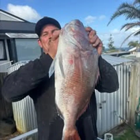 Tokerau Beach One Base 2025 - Browns Bay Fishing Club catch photo