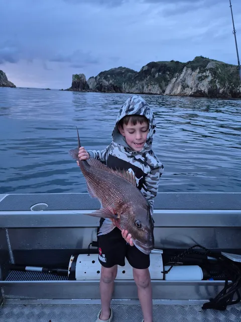 Browns Bay Fishing Club member photo