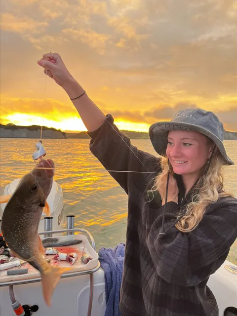 Browns Bay Fishing Club member photo