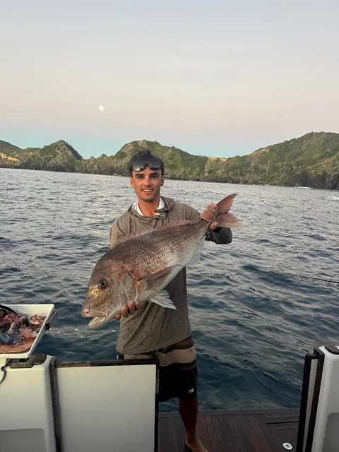 2025/26 Christmas Competition - Browns Bay Fishing Club catch photo