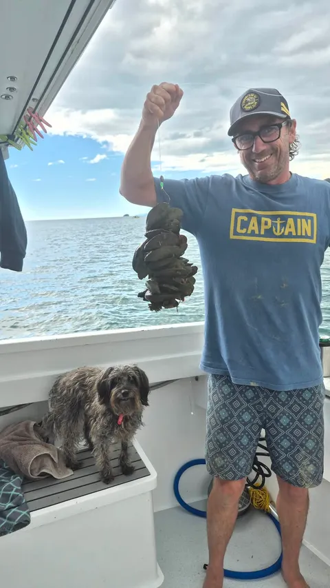 Browns Bay Fishing Club member photo