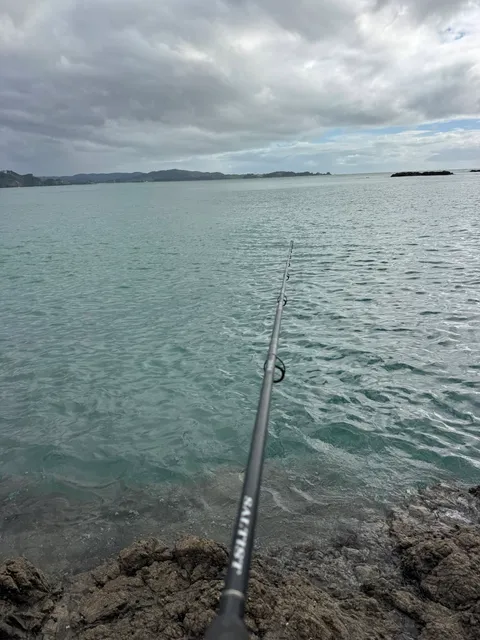 Browns Bay Fishing Club member photo