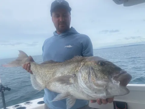 June 2026 All Month Competition - Browns Bay Fishing Club catch photo