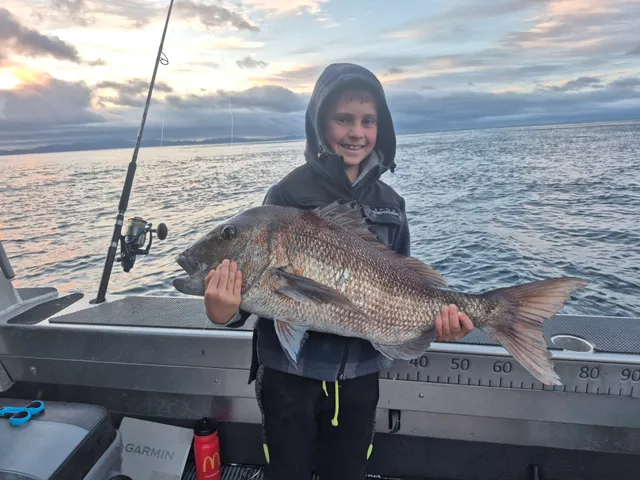 June 2026 All Month Competition - Browns Bay Fishing Club catch photo