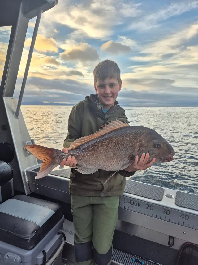 June 2026 All Month Competition - Browns Bay Fishing Club catch photo
