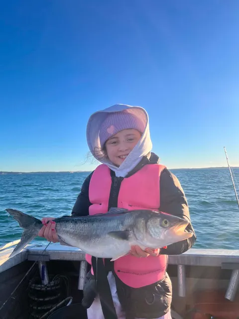 June 2026 All Month Competition - Browns Bay Fishing Club catch photo